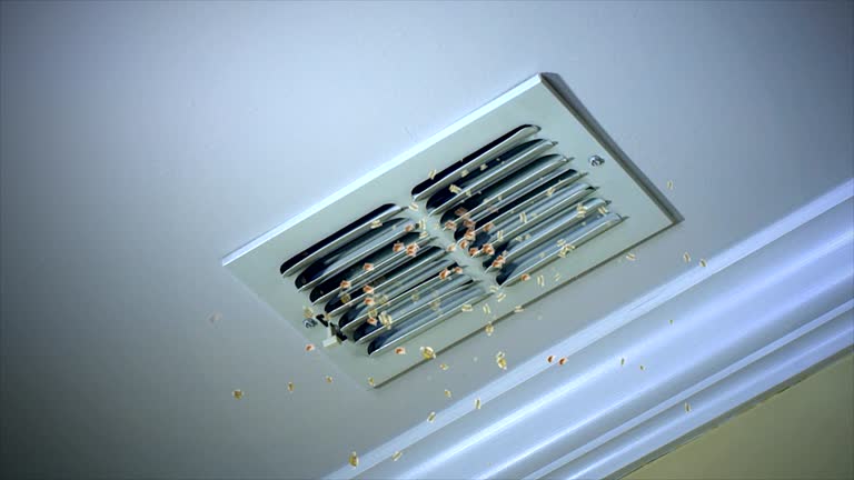 Best Air Duct Cleaning Near Me  in Eagle, ID