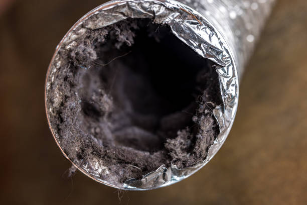 Best Ductwork Cleaning Services  in Eagle, ID