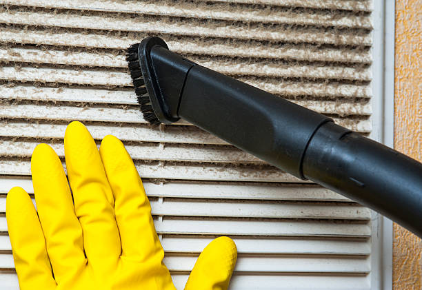 Best HVAC Duct Inspection Services  in Eagle, ID